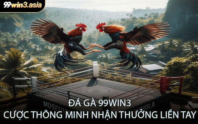Đá Gà 99win3 – Cược Thông Minh Nhận Thưởng Liền Tay